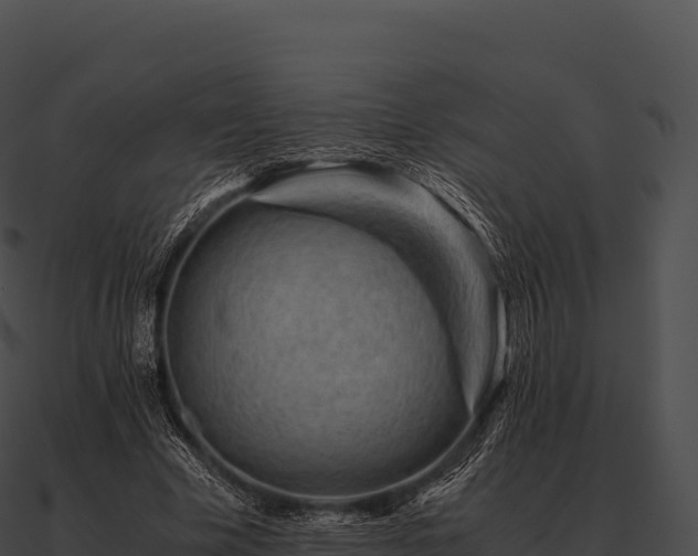X0000090880585200708031033