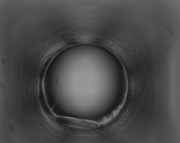 X0000090880586200708031033