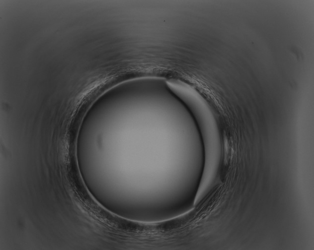 X0000090880587200708031033