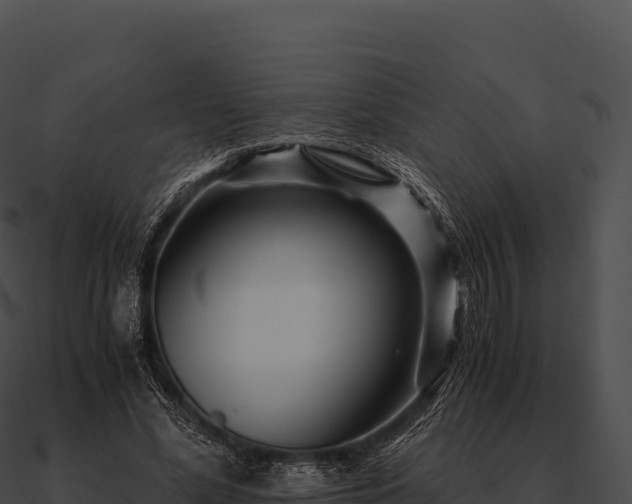 X0000090880588200708031033