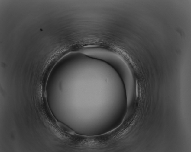 X0000090880589200708031033