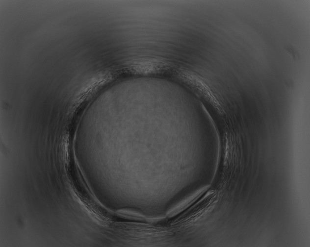 X0000090880590200708031033
