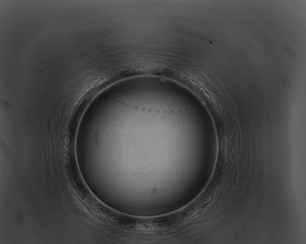 X0000090880591200708031033