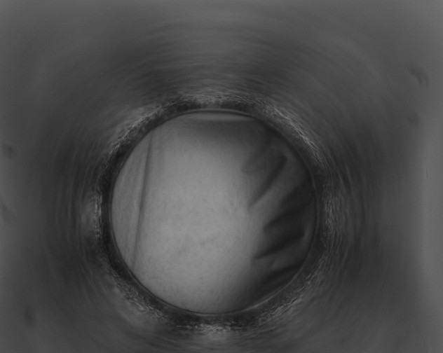X0000090880592200708031033