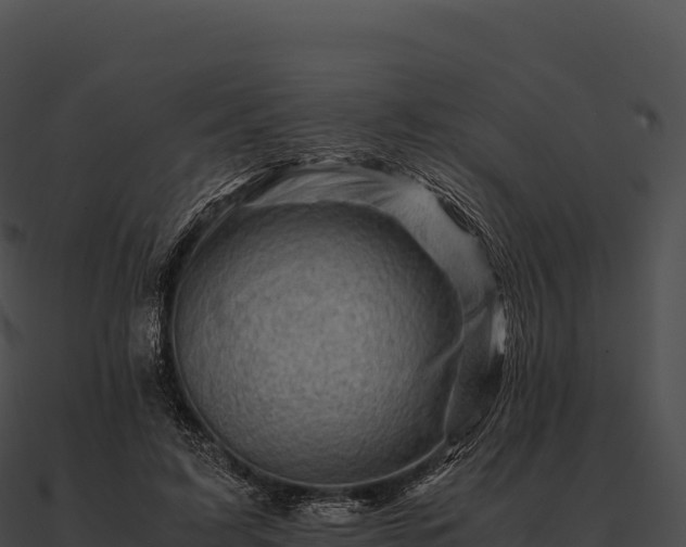 X0000090880595200708031033