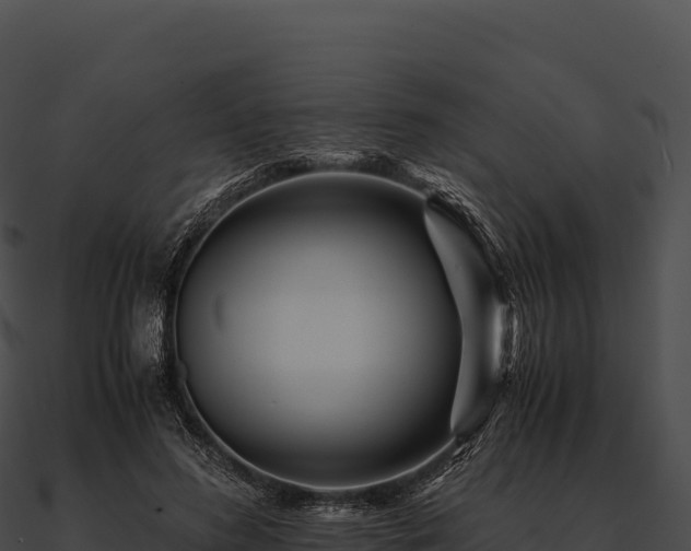 X0000090880596200708031033