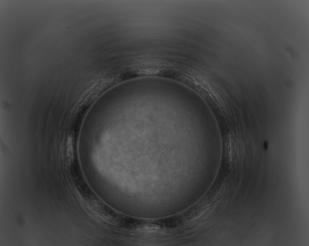 X0000090880598200708031033