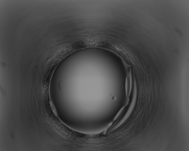 X0000090880601200708031032