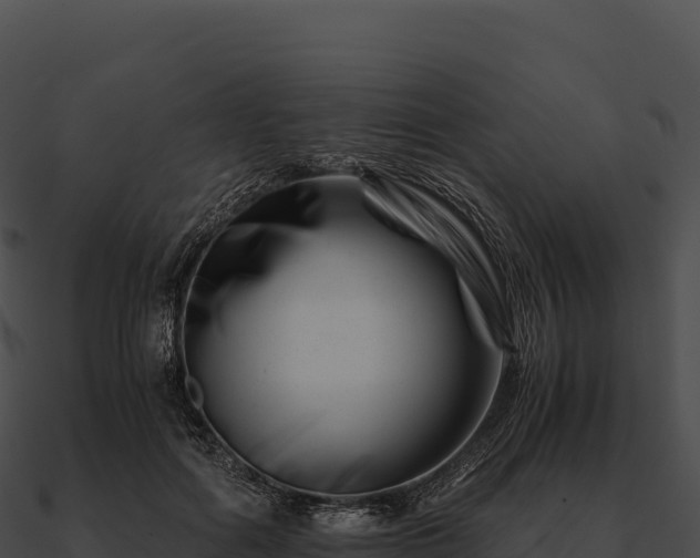 X0000090880602200708031032