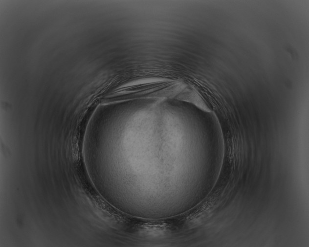 X0000090880606200708031032
