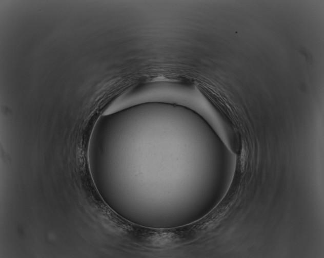 X0000090880609200708031032