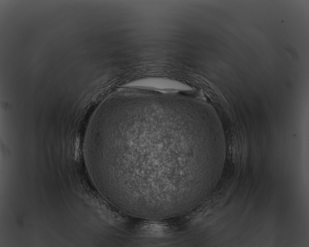 X0000090880610200708031032