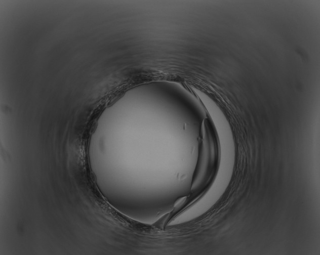 X0000090880613200708031032
