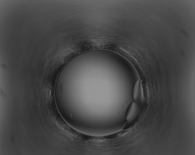 X0000090880615200708031032