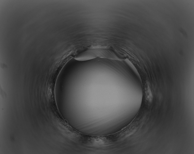X0000090880618200708031032