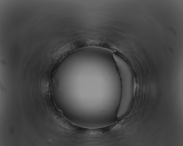 X0000090880619200708031032