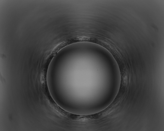 X0000090880620200708031032