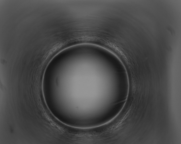 X0000090880625200708031031