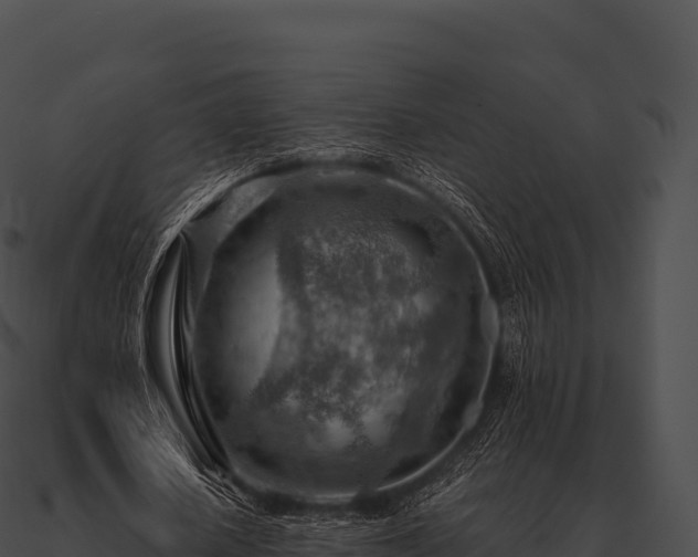 X0000090880626200708031031