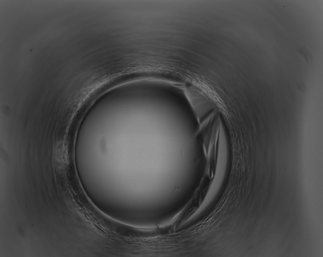 X0000090880628200708031031
