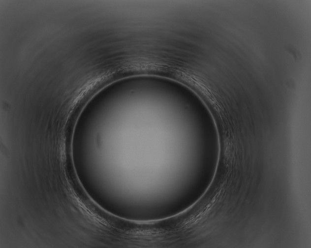 X0000090880629200708031031