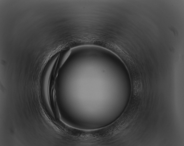 X0000090880634200708031032
