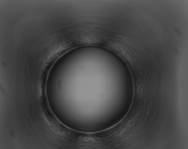 X0000090880635200708031032