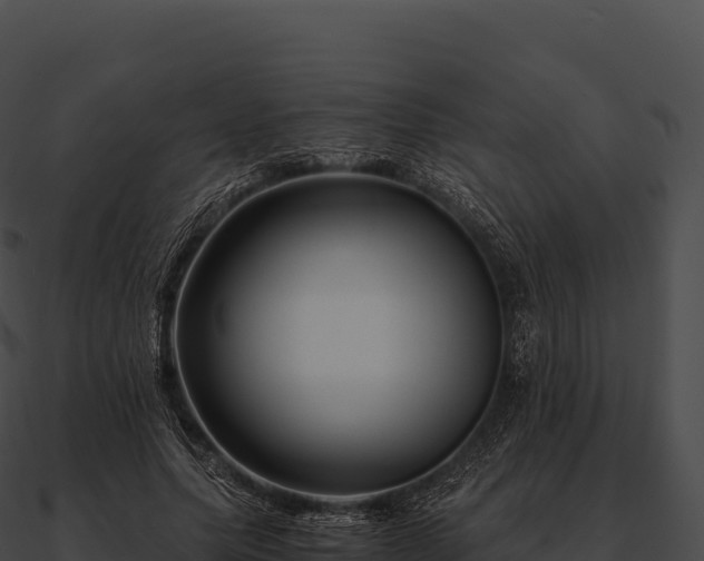 X0000090880639200708031032