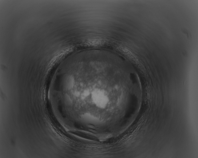 X0000090880640200708031032