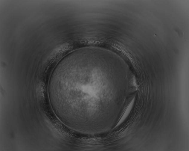 X0000090880643200708031032