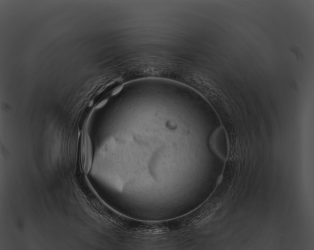 X0000090880646200708031032