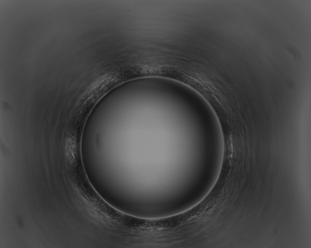 X0000090880648200708031032