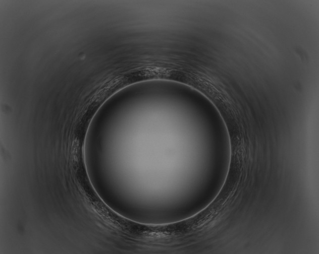 X0000090880649200708031032