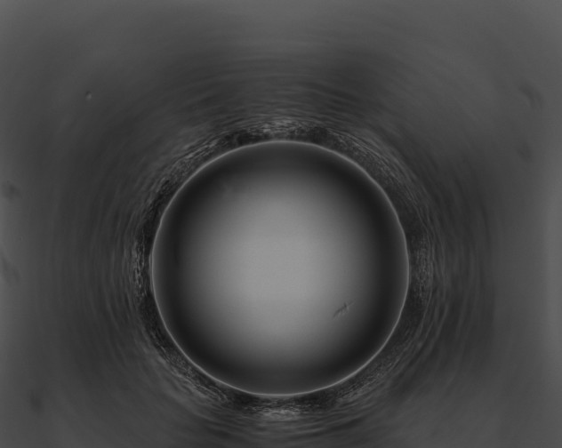 X0000090880653200708031032