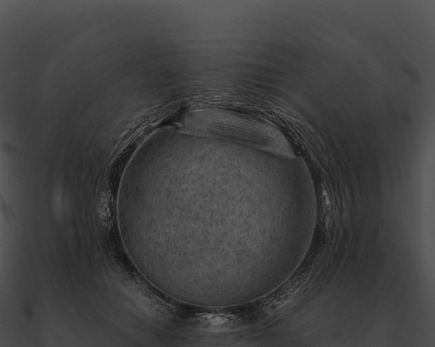 X0000090880654200708031032