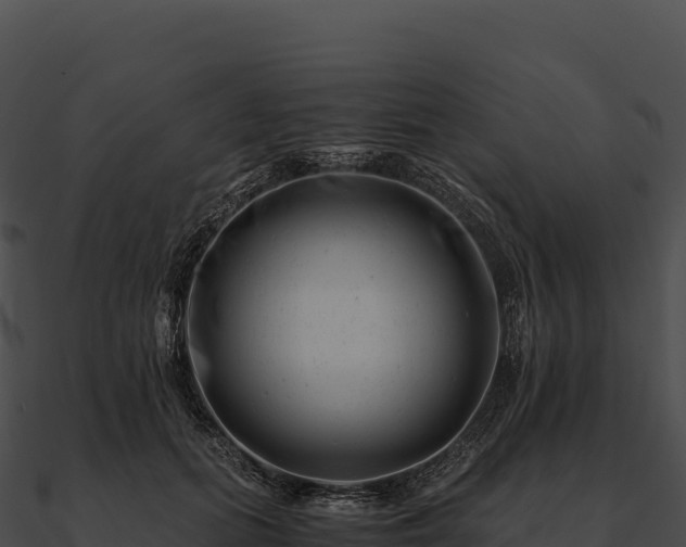 X0000090880655200708031032
