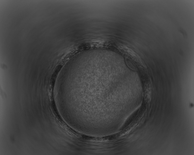X0000090880661200708031032