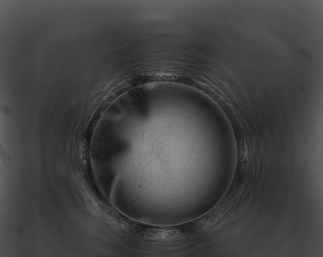 X0000090880663200708031032