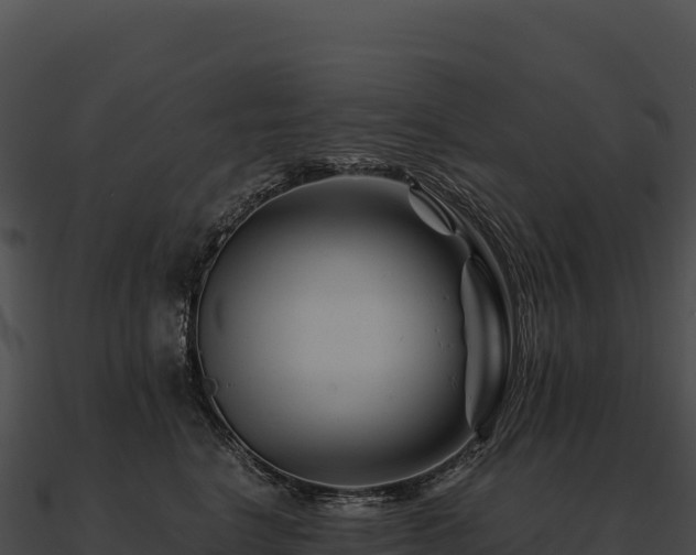 X0000090880664200708031032