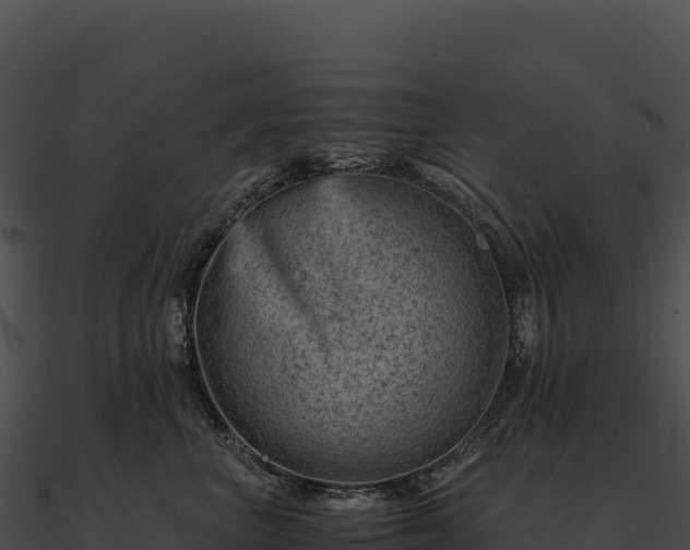 X0000090880667200708031032