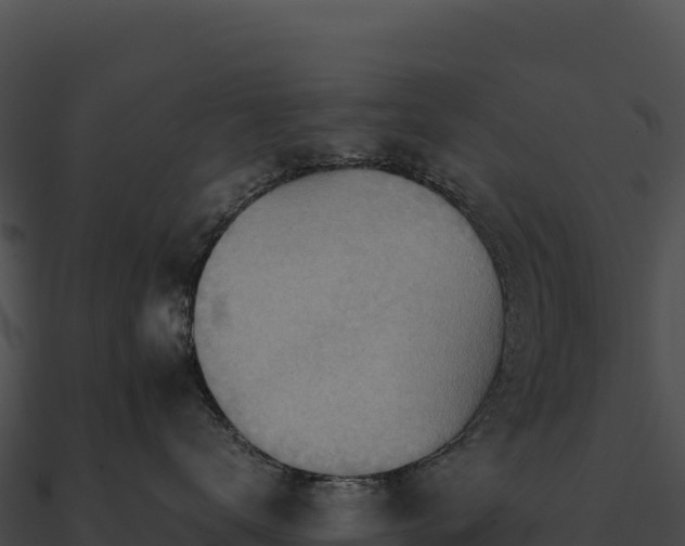 X0000090880672200708031032