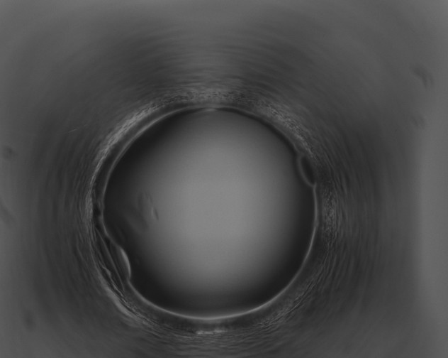 X0000090880674200708031031