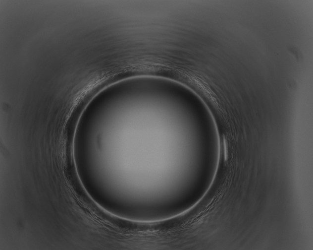 X0000090880675200708031031