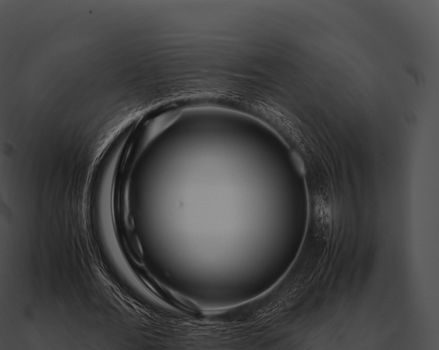 X0000090880676200708031031