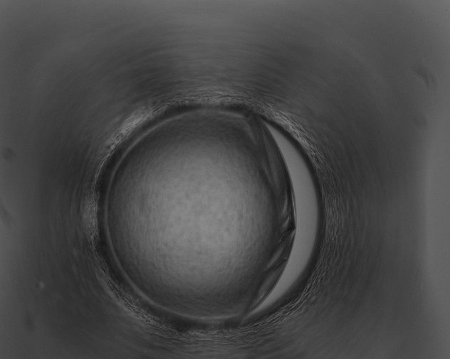 X0000090880679200708031031