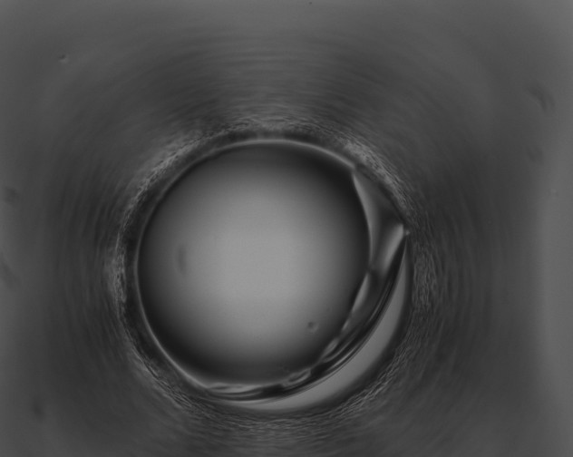 X0000090880680200708031031