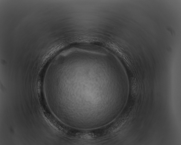 X0000090880683200708031031