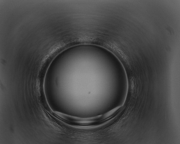 X0000090880684200708031031