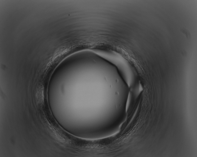 X0000090880685200708031031