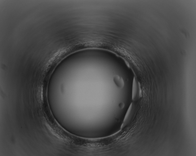 X0000090880686200708031031